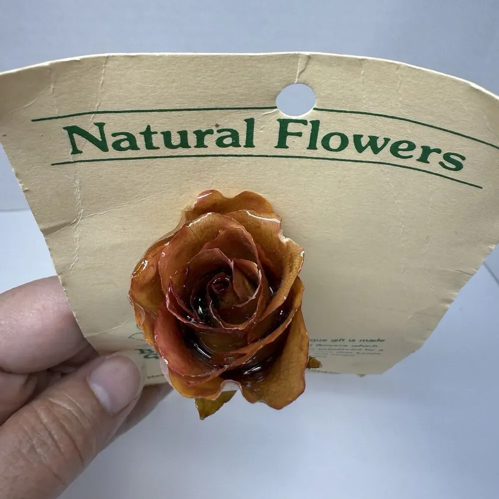 Vintage The Butchart Gardens Natural Preserved Rose Stick Pin Brooch New